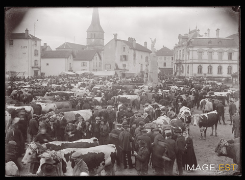Marché aux bestiaux (Le Val-d'Ajol)